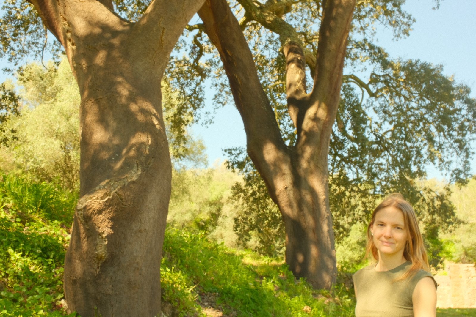 Jill Trees - Welcome Page